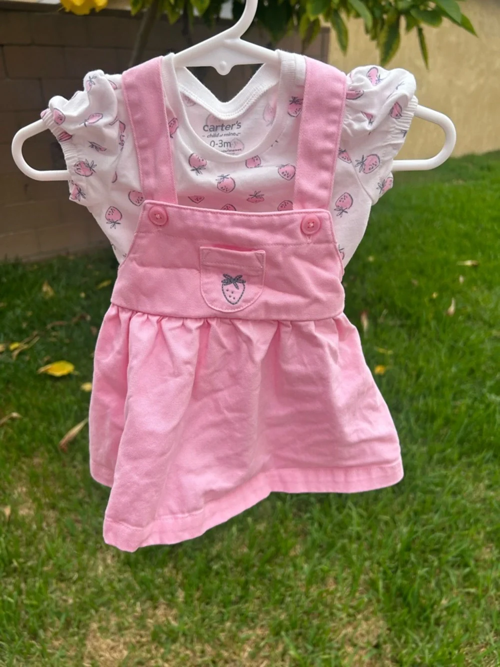 Carter's Pink Strawberry Pinafore & Printed Onesie Set